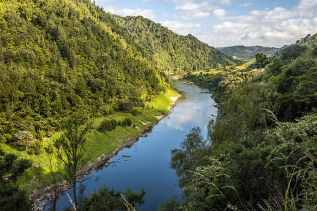 Il fiume Whanganui in Nuova Zelanda scorre per 145 chilometri